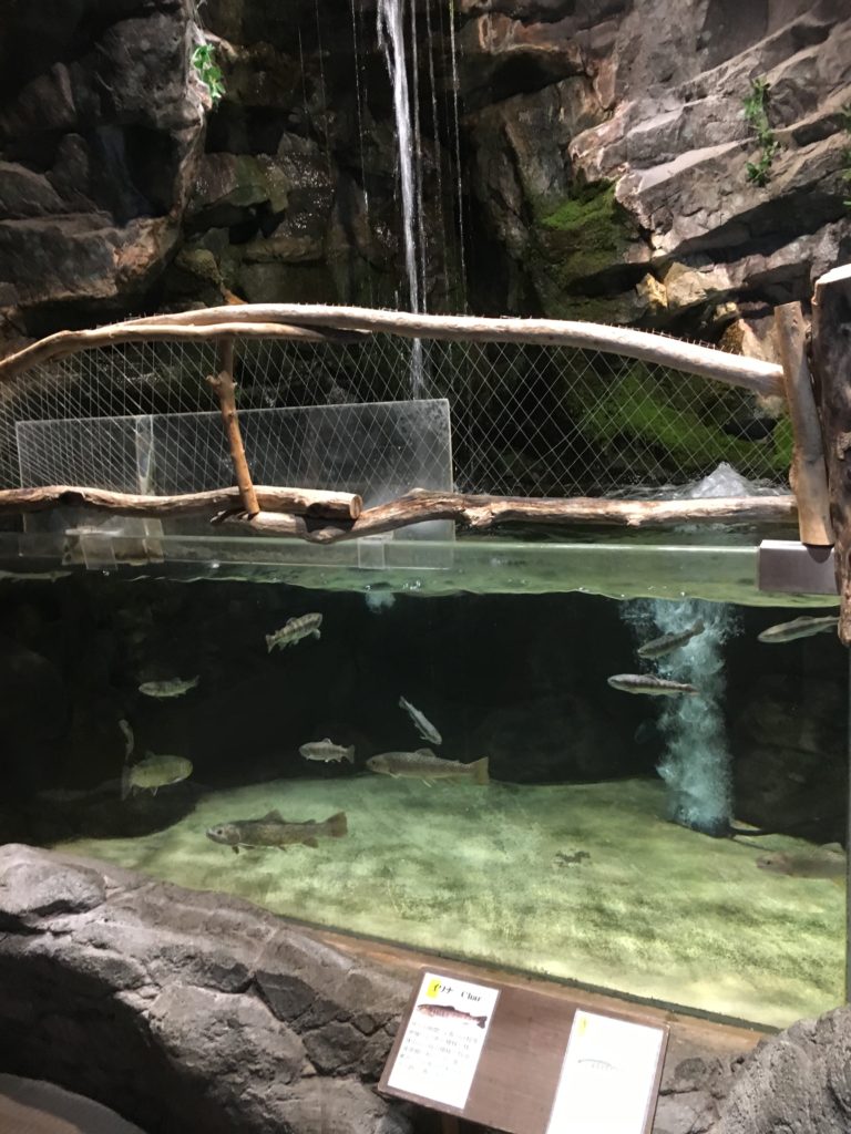 道の駅みなかみ水紀行館