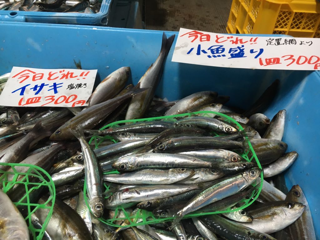 道の駅ちくら潮風王国魚盛り