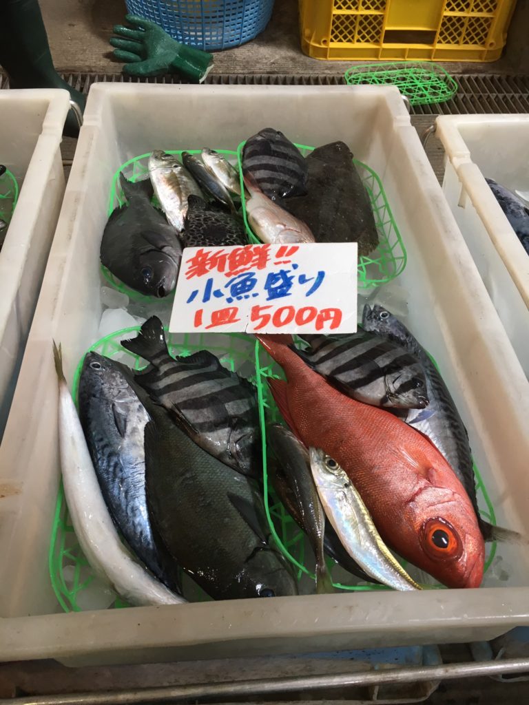 道の駅ちくら潮風王国鮮魚