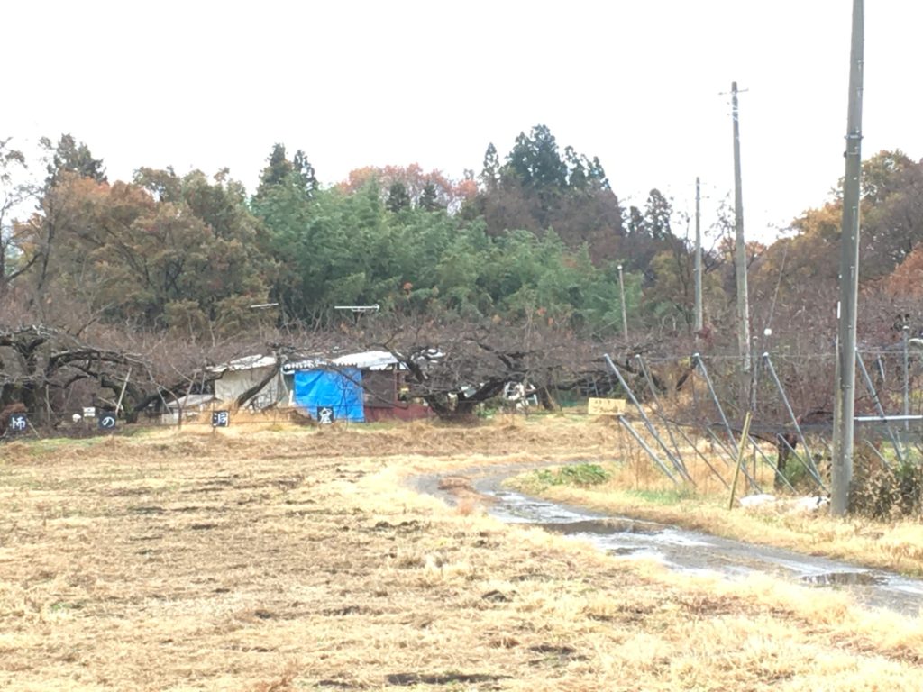 恐怖の平地