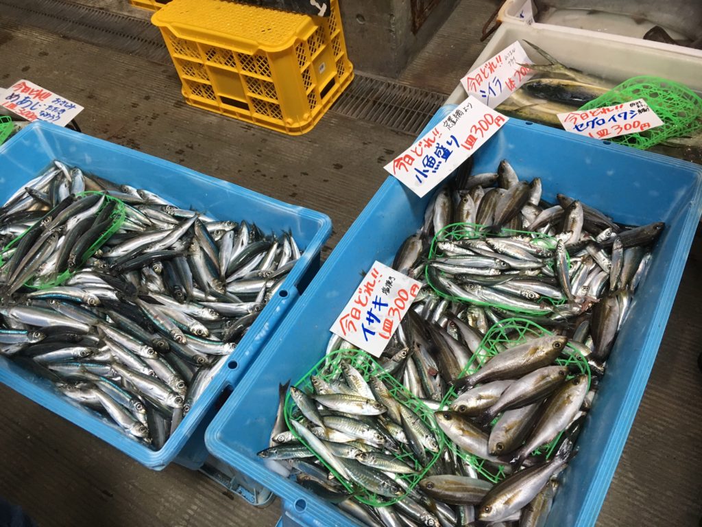 道の駅ちくら潮風王国鮮魚