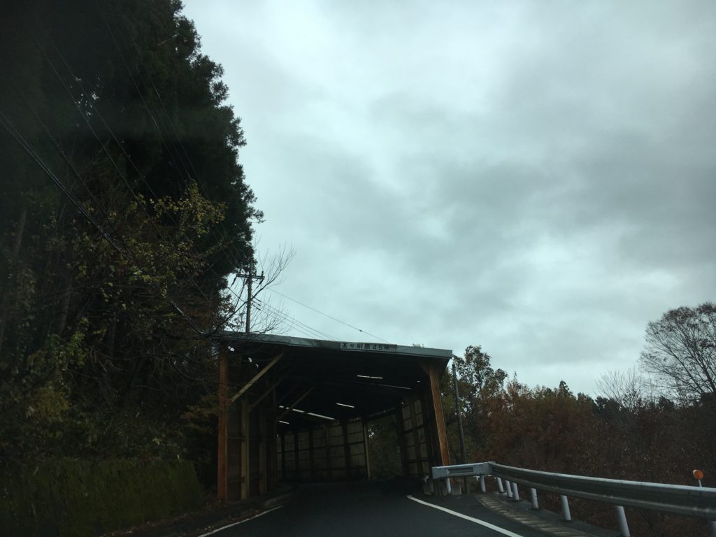 国道17号線木のトンネル