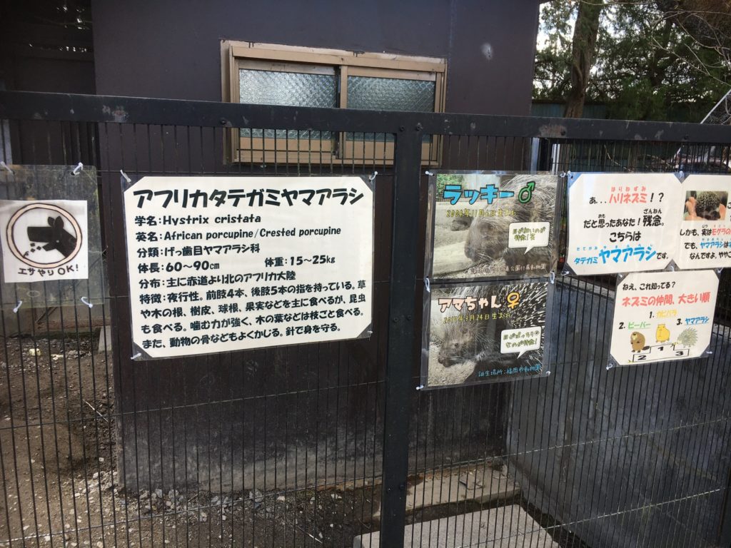 宇都宮動物園