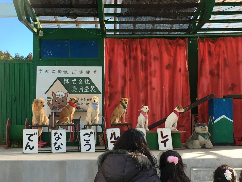 宇都宮動物園