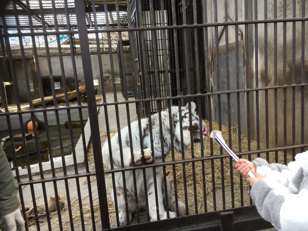 宇都宮動物園