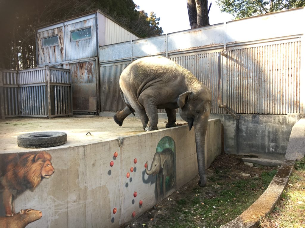 宇都宮動物園