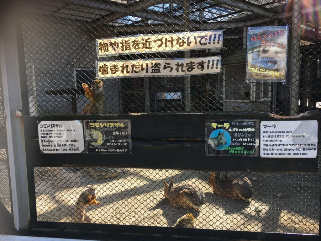 宇都宮動物園