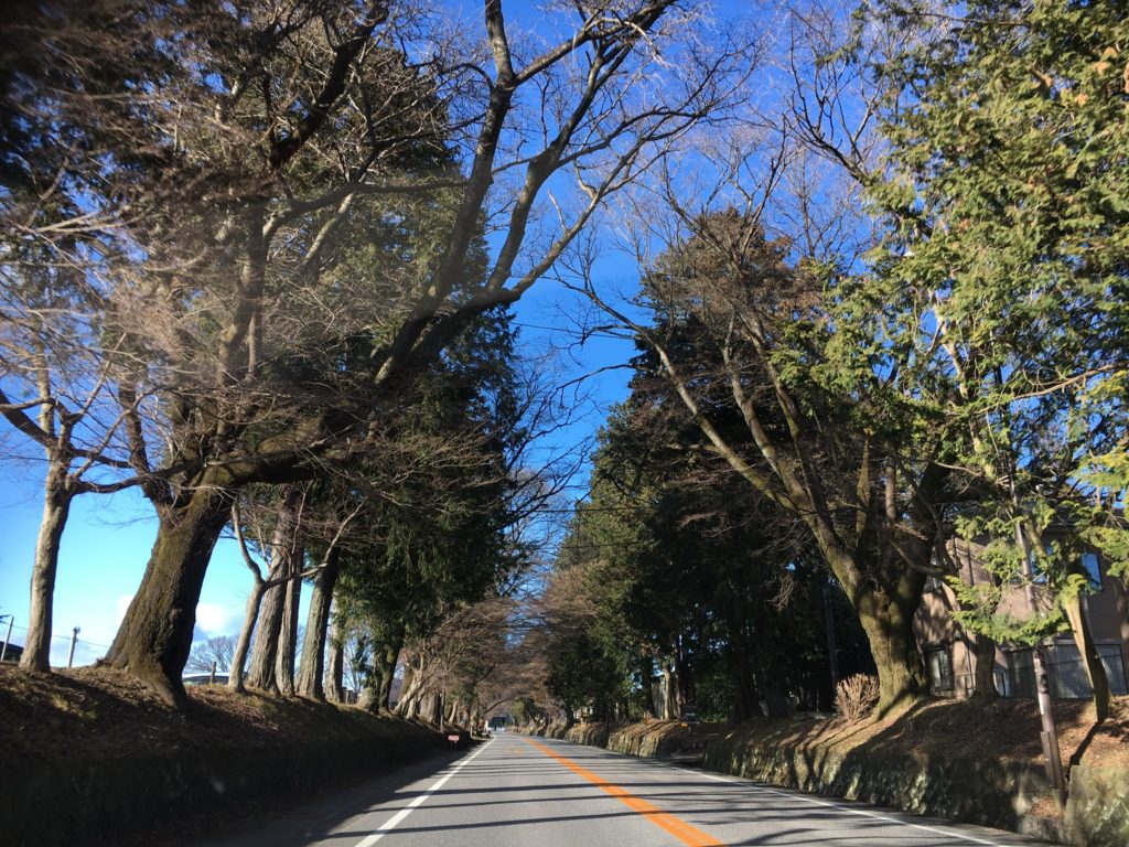 宇都宮動物園