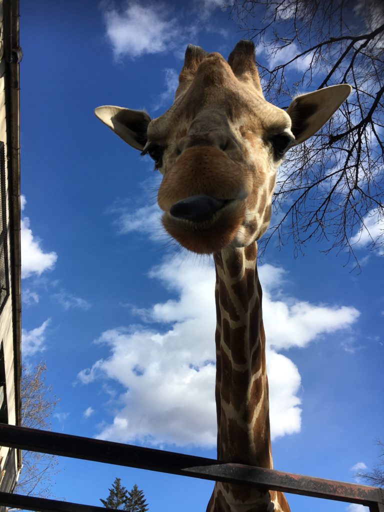 宇都宮動物園