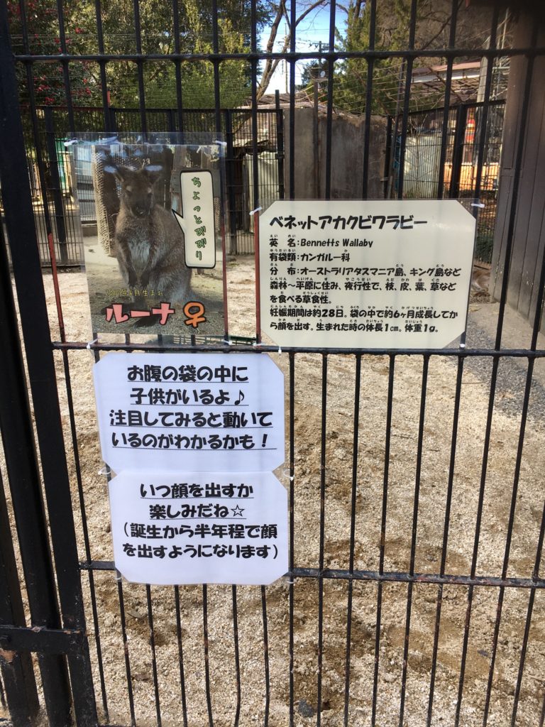 宇都宮動物園