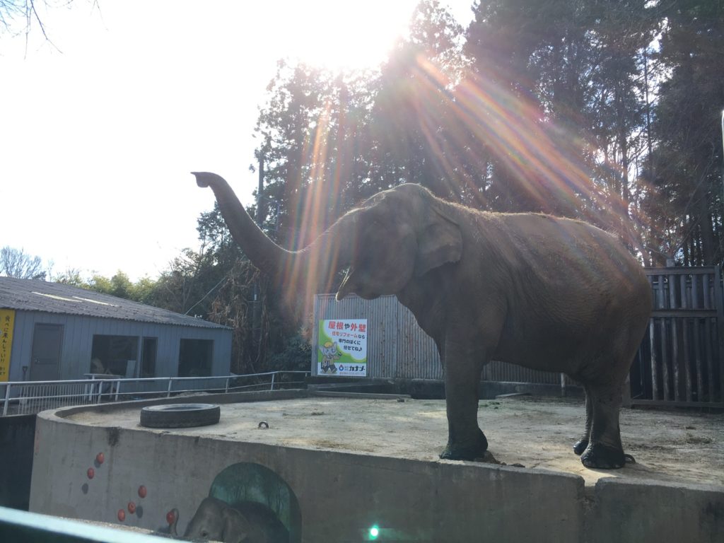 宇都宮動物園