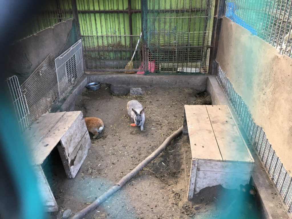 宇都宮動物園