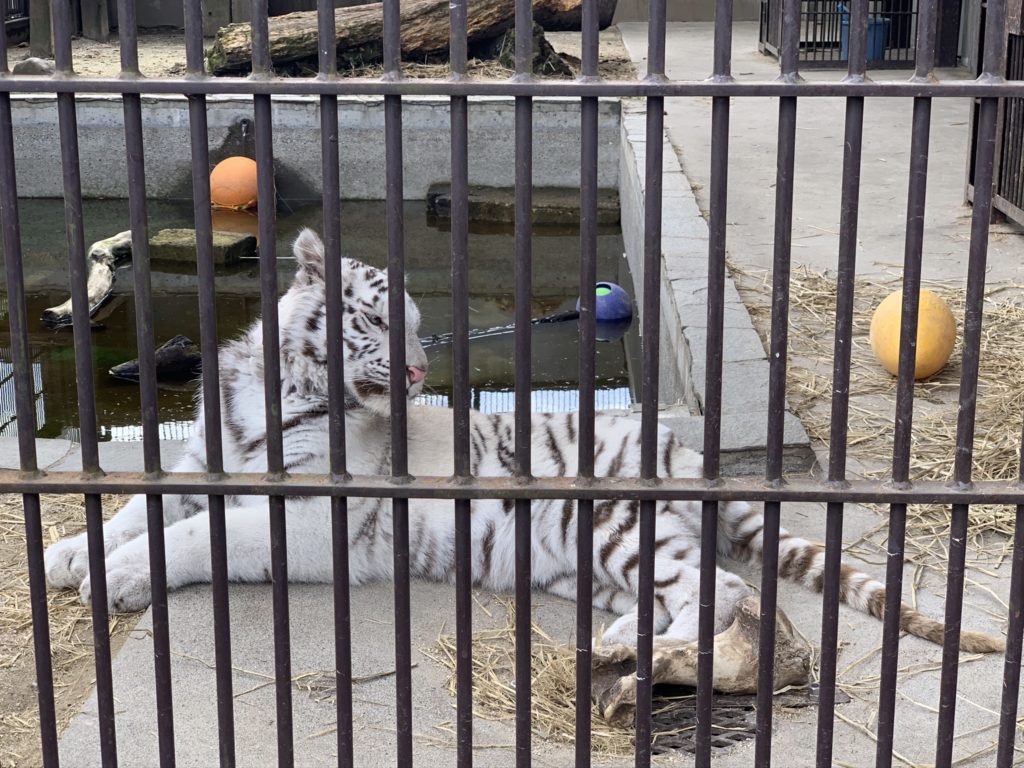 宇都宮動物園