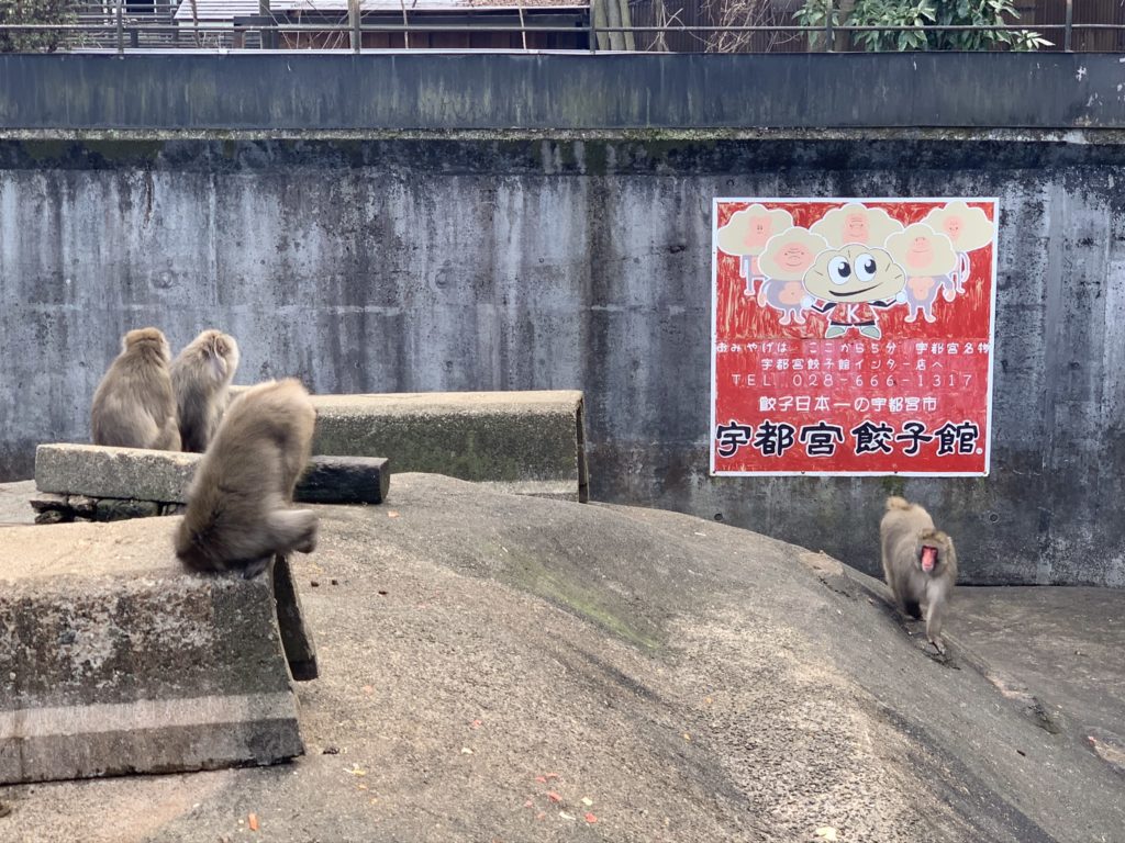 宇都宮動物園