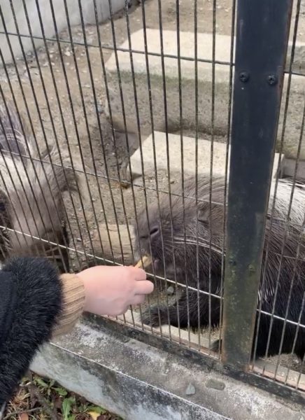 宇都宮動物園