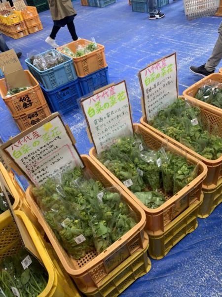 道の駅やちよ