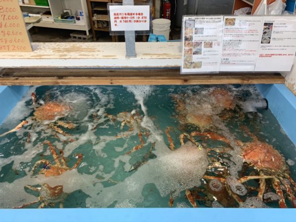 戸田漁業協同組合　海産物直売所