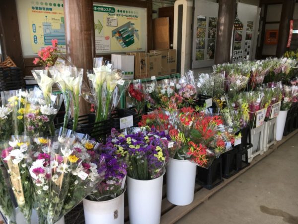 道の駅おおつの里花倶楽部