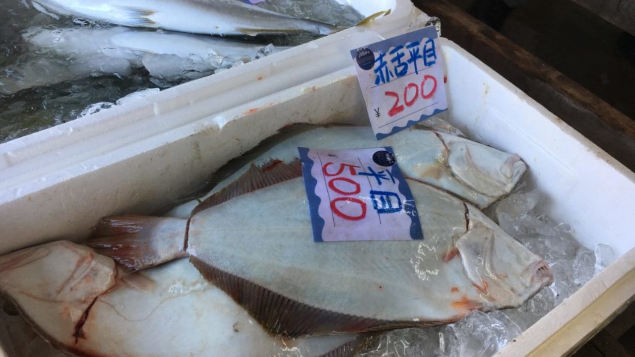 お魚捌こ 道の駅とみうら みのやの鮮魚 ブログ 魚を捌く お魚捌こ 道の駅とみうら みのやの鮮魚 ブログ 魚を捌く