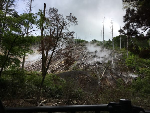 箱根大涌谷