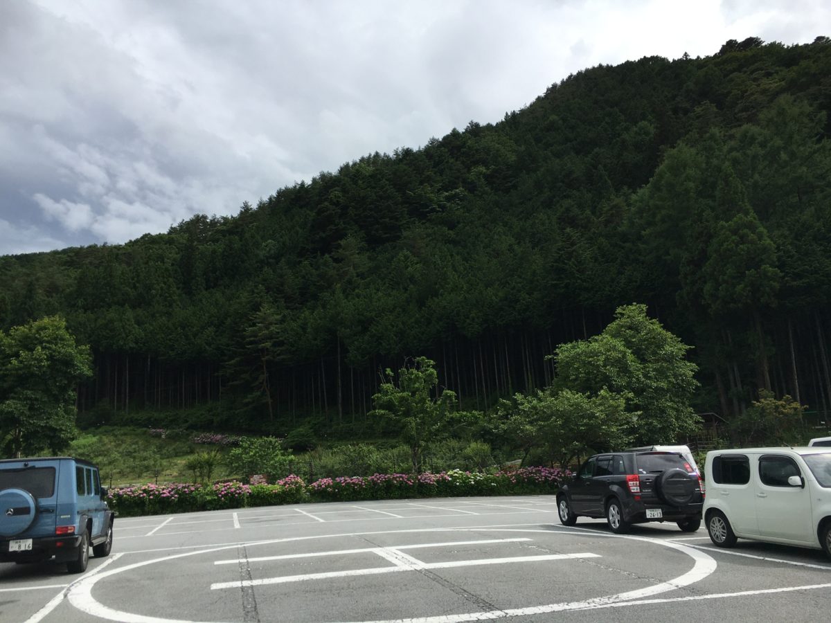 道の駅こすげ