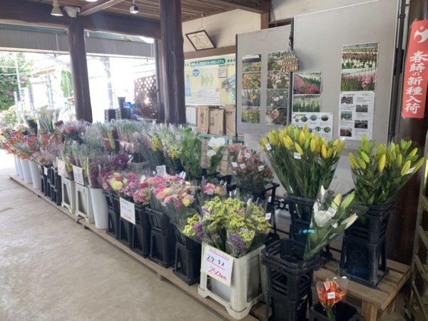 道の駅おおつの里花倶楽部