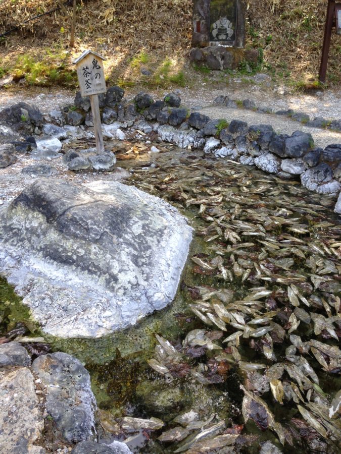 草津西の河原