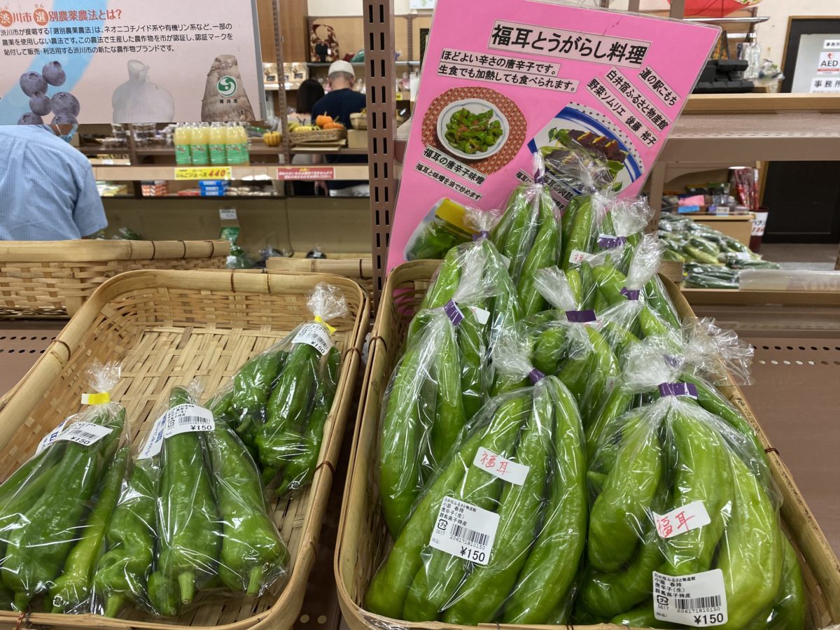 道の駅こもち