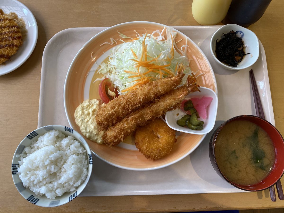 道の駅はが