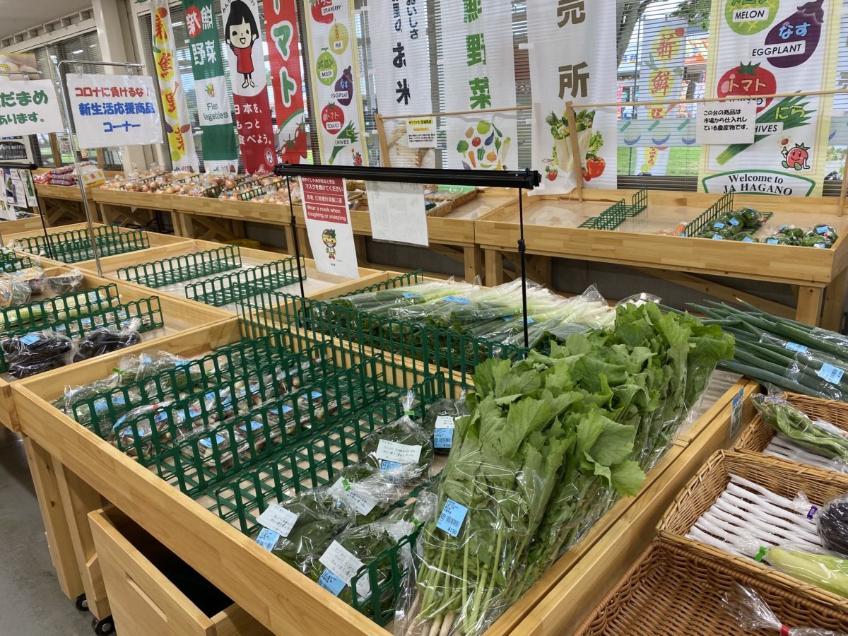 道の駅はが