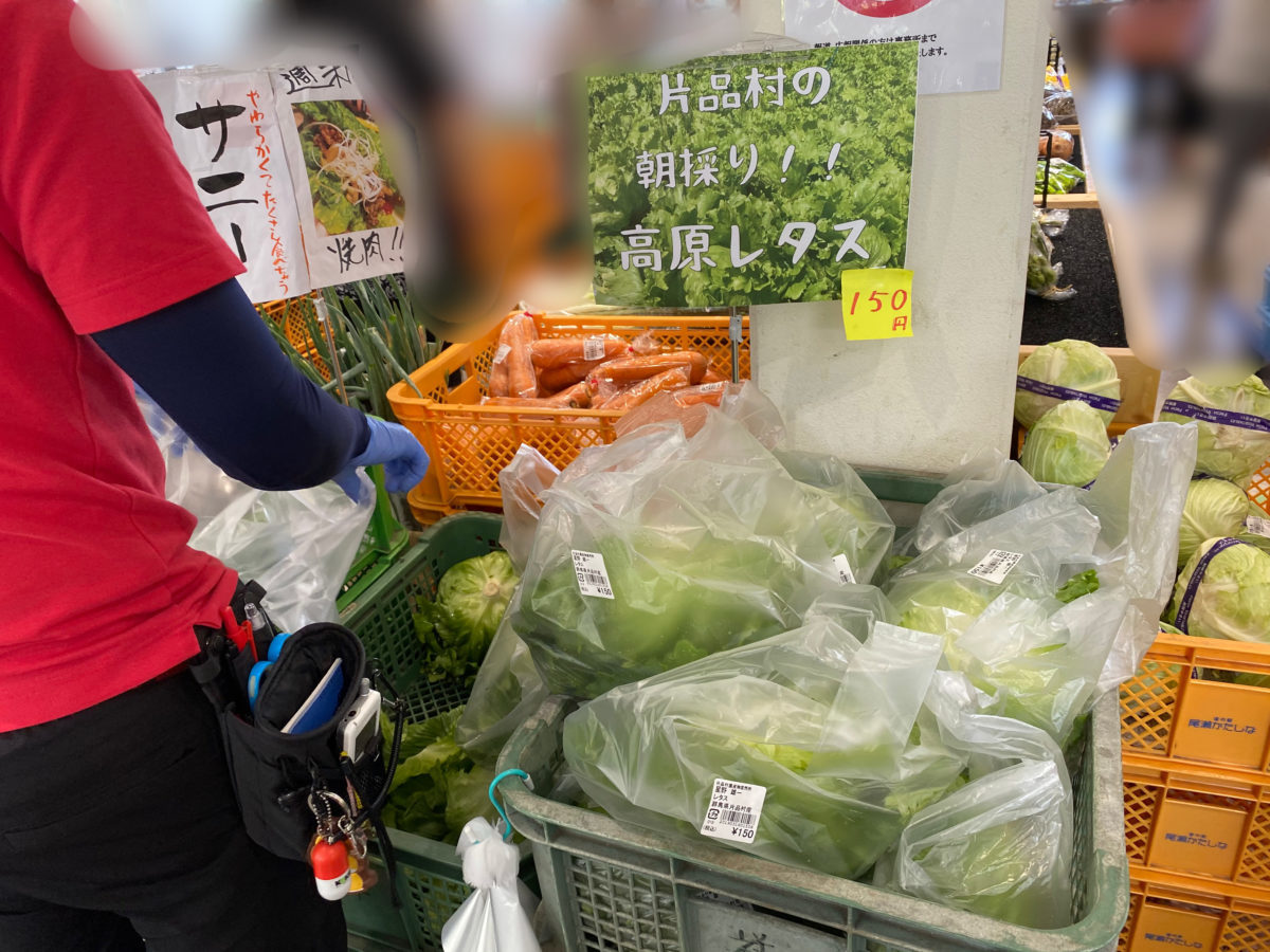 道の駅尾瀬かたしな