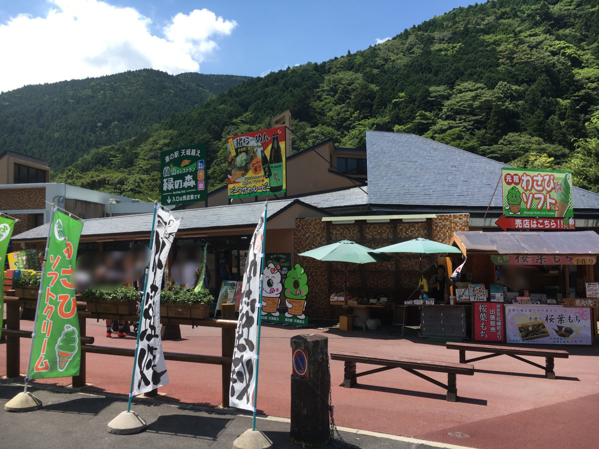 道の駅天城越え