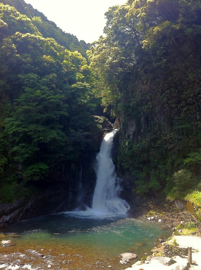 天城越え常連の滝