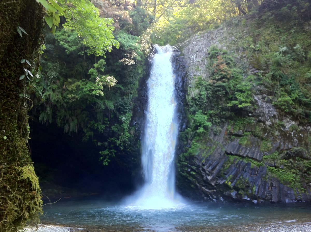 天城越え常連の滝