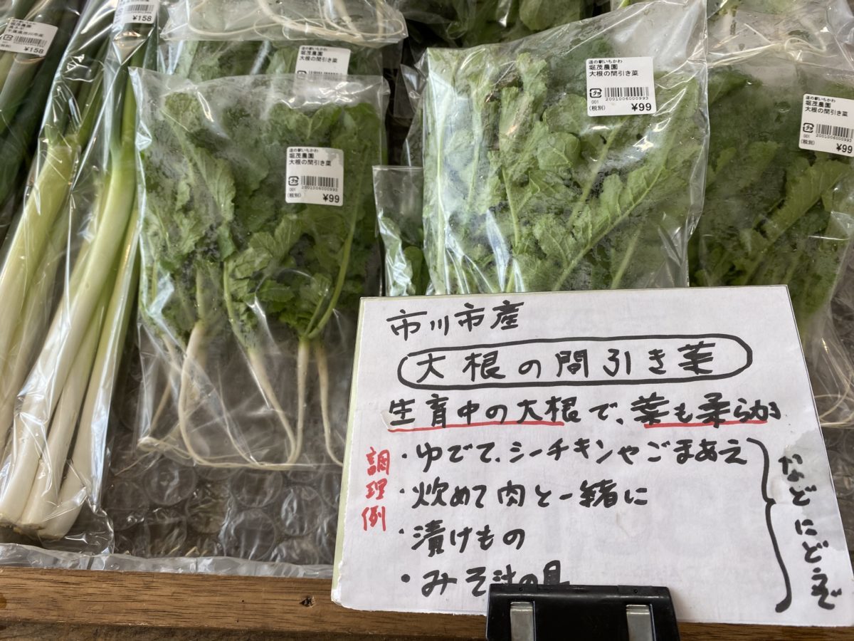 道の駅いちかわ