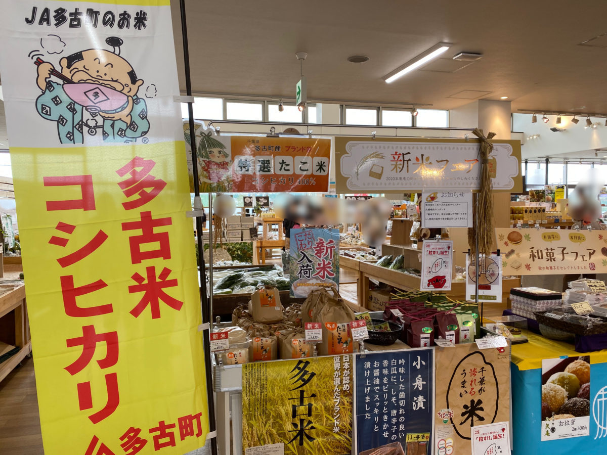 道の駅いちかわ