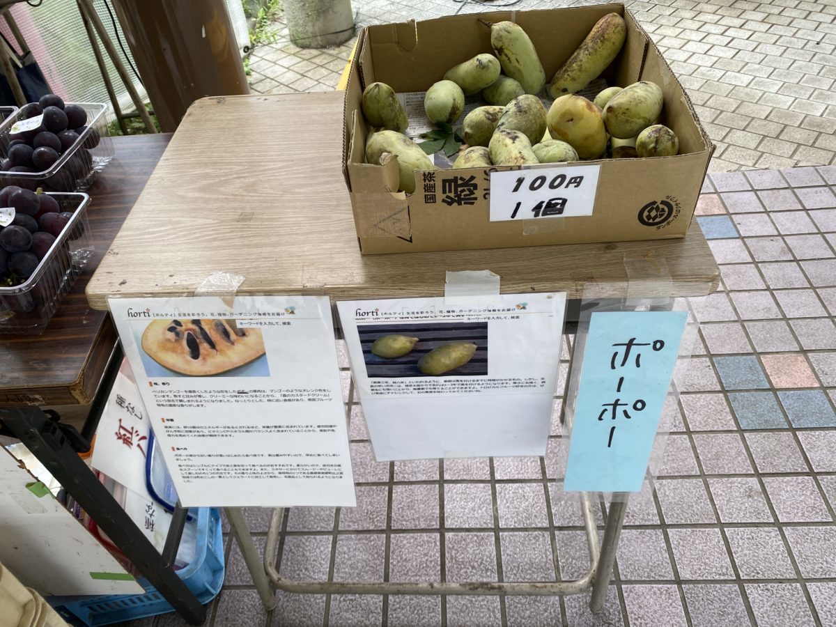 道の駅甲斐大和