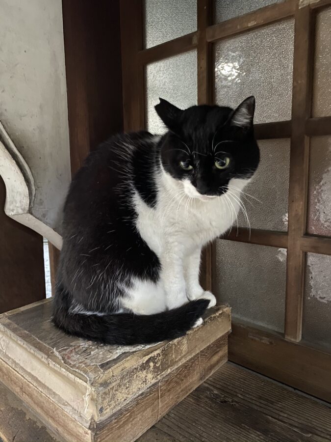 秋葉原柳森神社