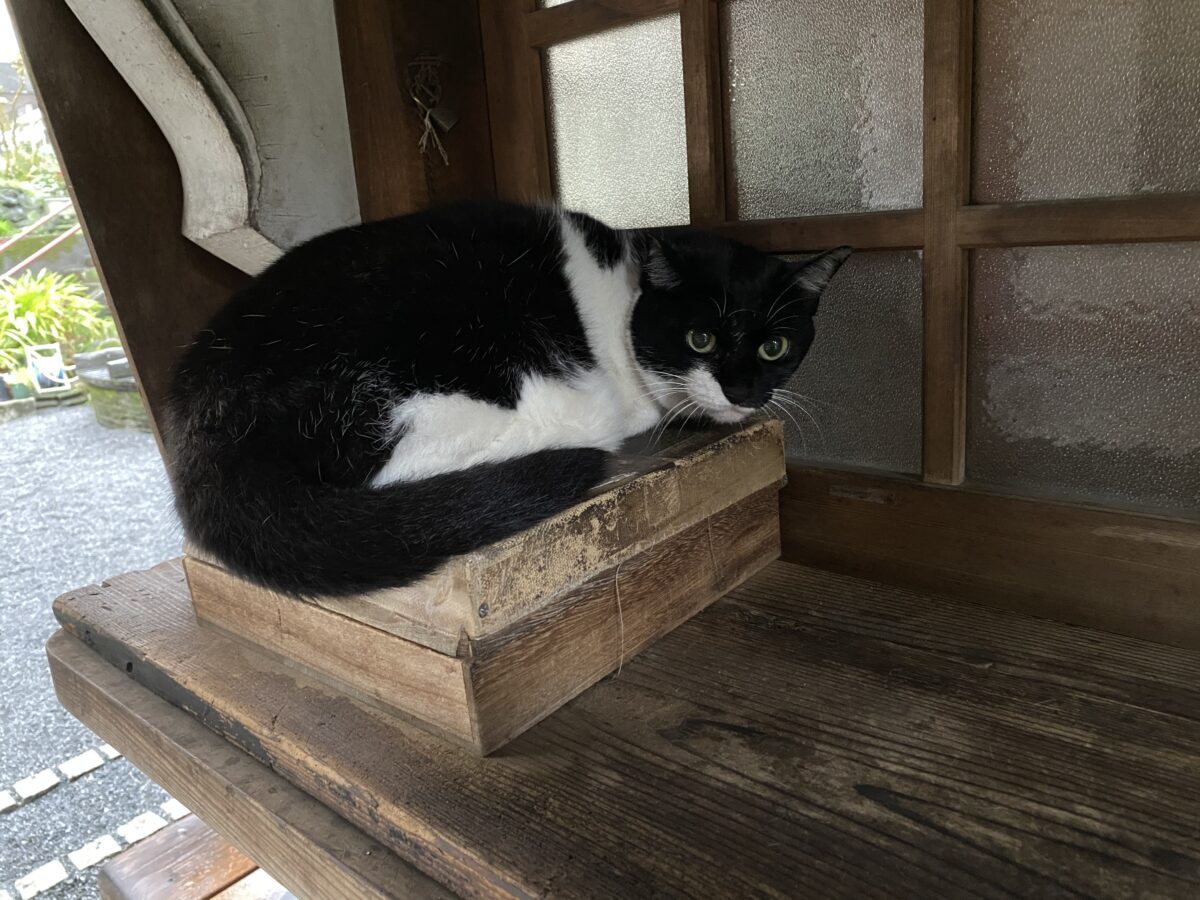 秋葉原柳森神社