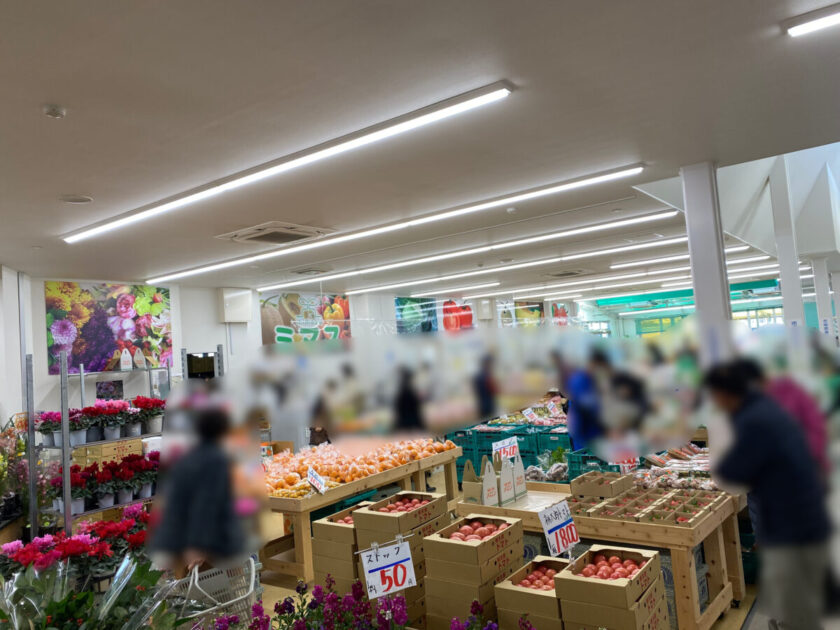 道の駅田原めっくんはうす