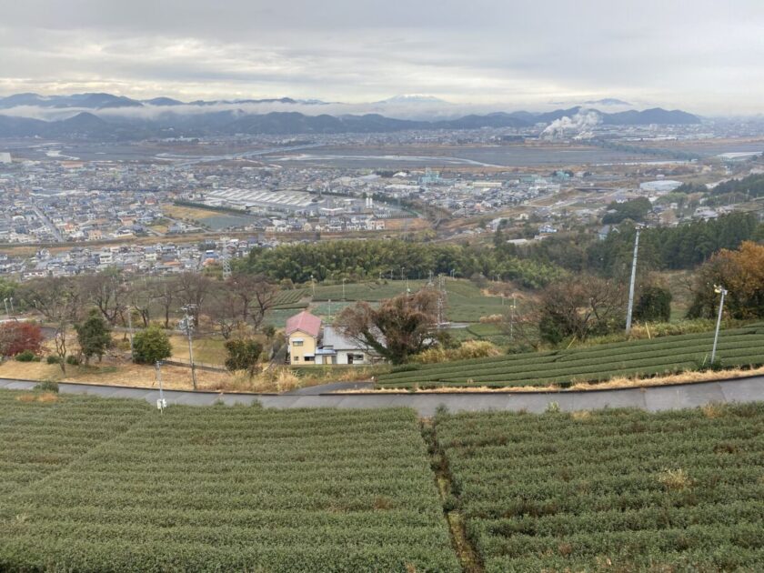 静岡だんだん畑