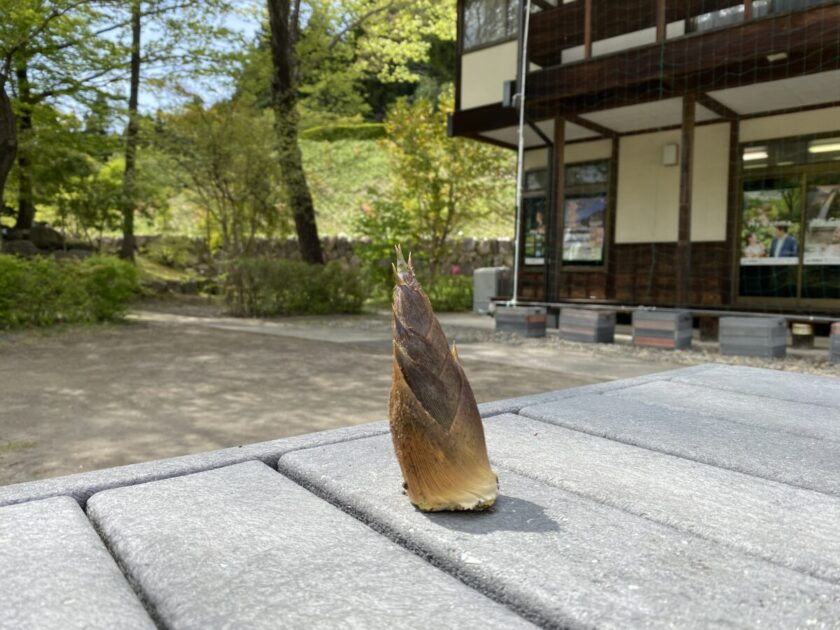 道の駅霊山たけやま