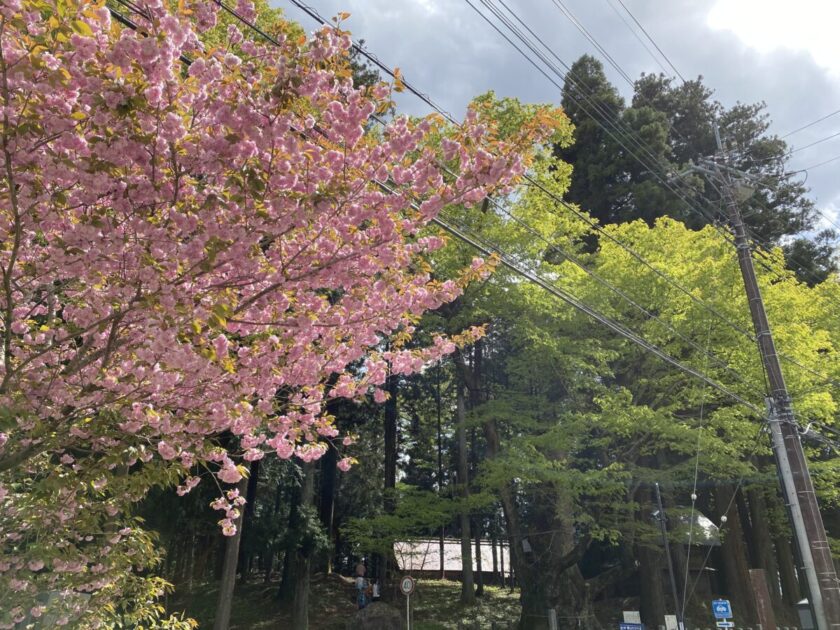 親都神社