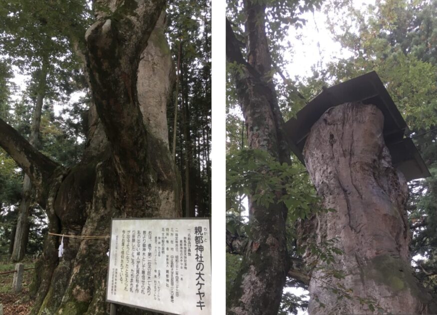 親都神社