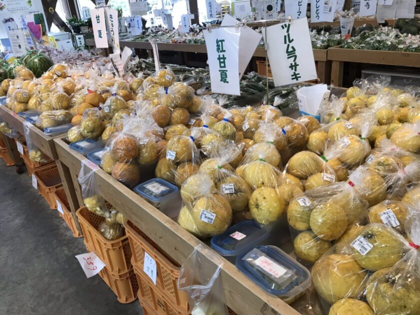 道の駅下賀茂温泉湯の花