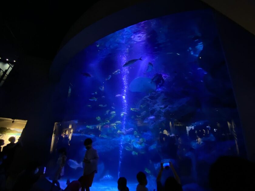 すみだ水族館