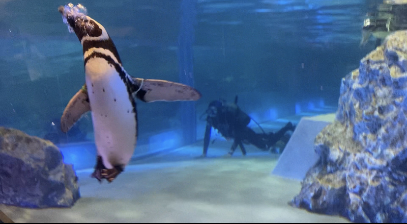 すみだ水族館