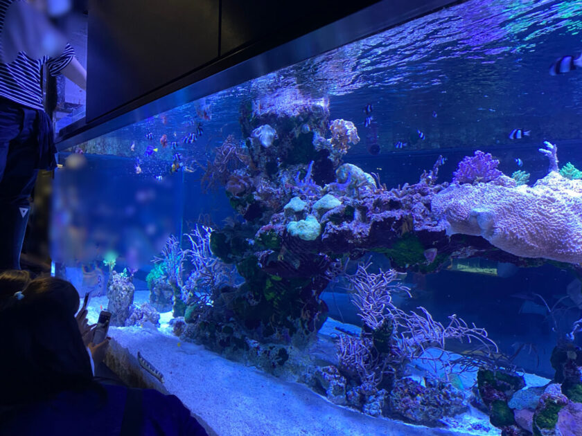 すみだ水族館