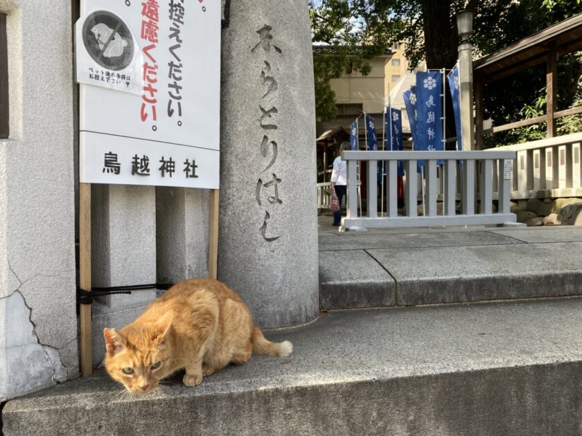 鳥越神社