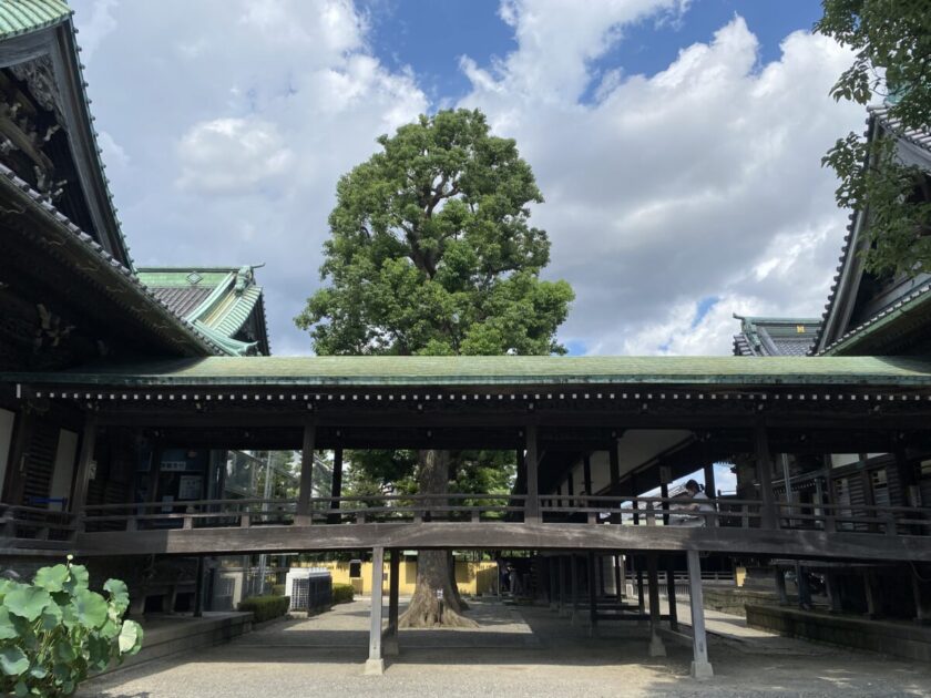 葛飾柴又帝釈天